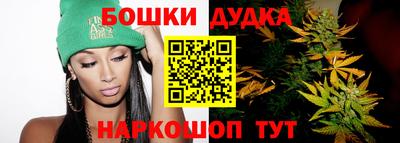 стаф Кандалакша