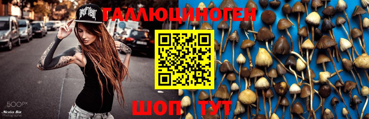 Златоуст  Псилоцибиновые грибы MAGIC MUSHROOMS  Псилоцибиновые грибы Magic Shrooms  Вход с VPN 