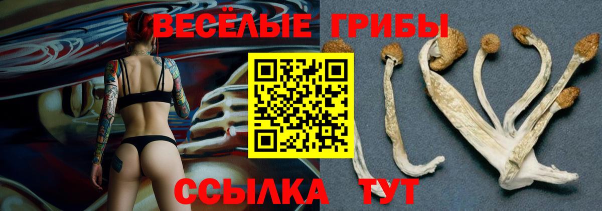 Галлюциногенные грибы ЛСД Златоуст